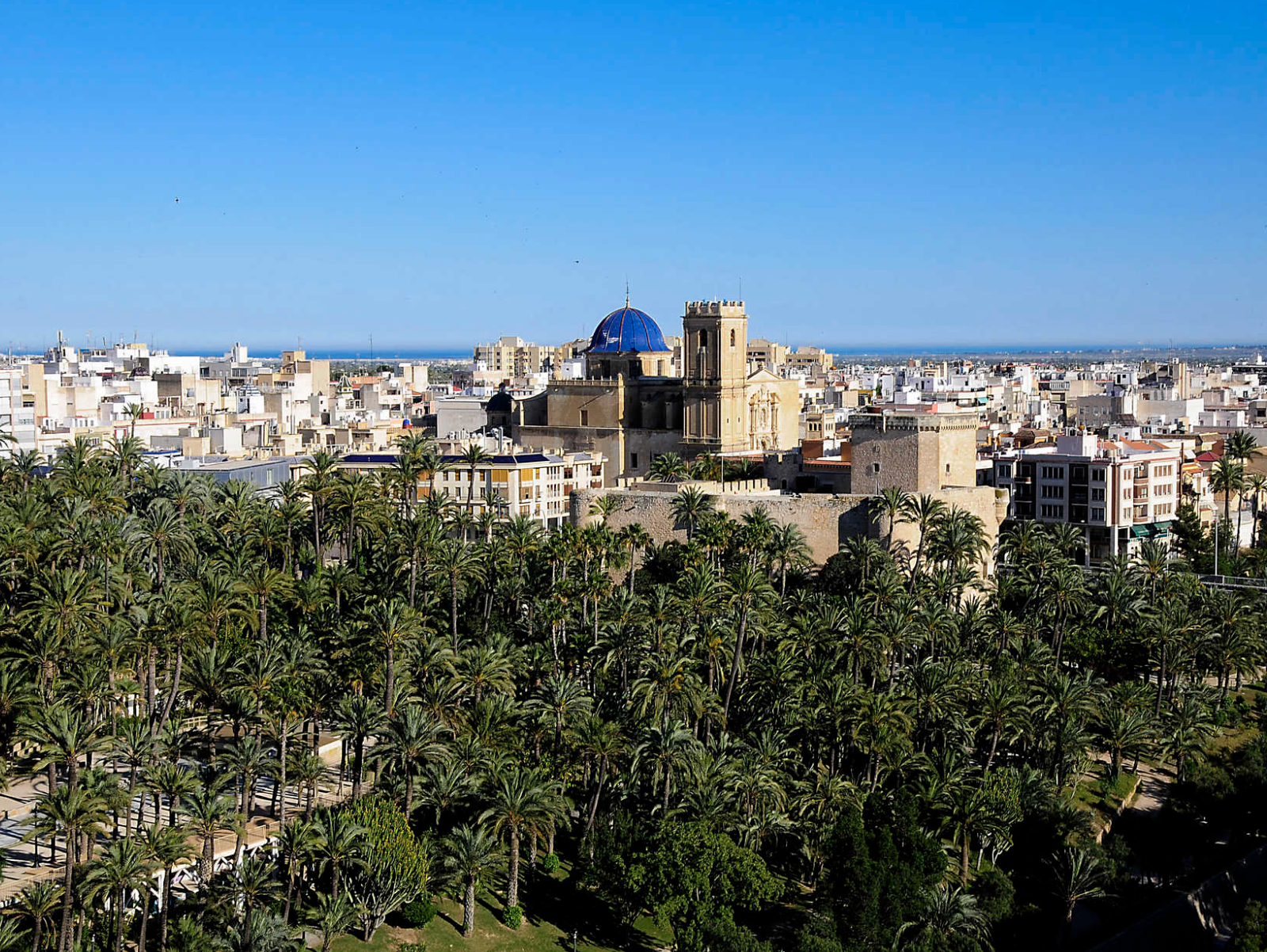 El Palmeral d'Elx