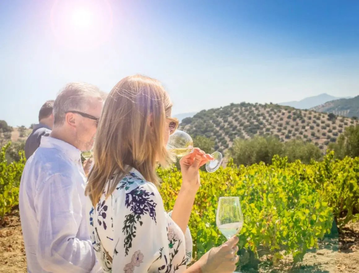 Wine-tasters-in-vineyards-in-Andalucia-shutterstock