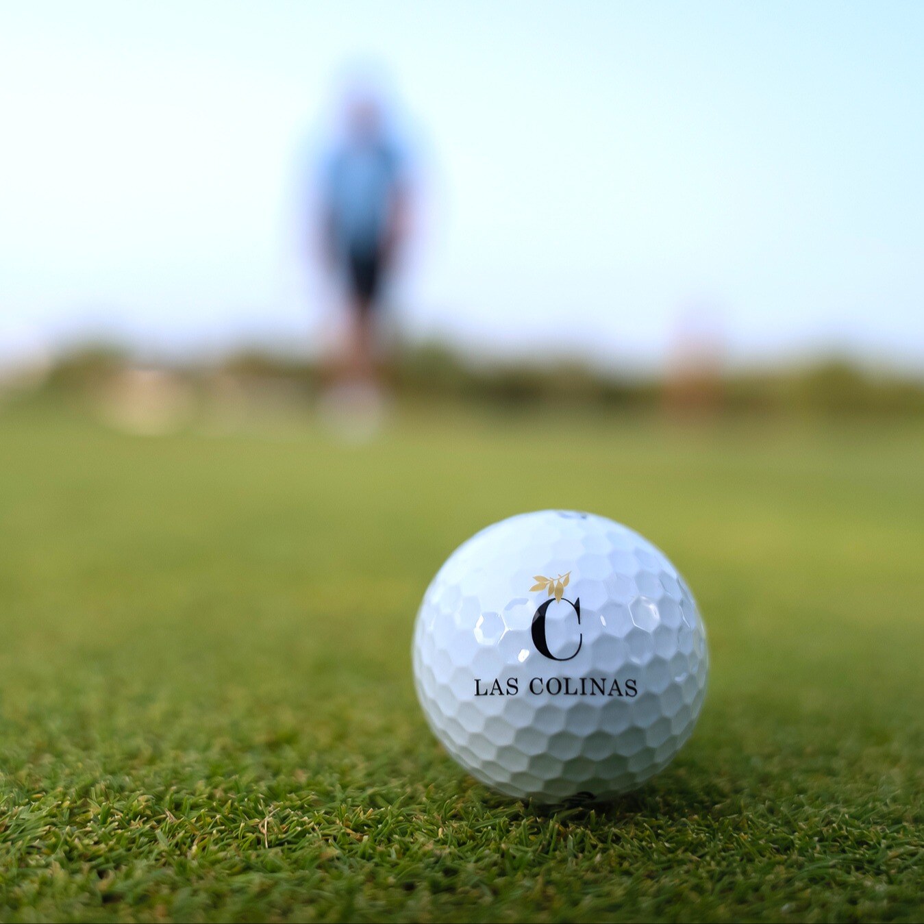 Las Colinas putting green with logoball in focus