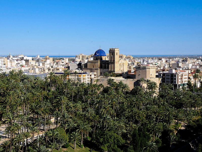 The palm grove of Elche, El Palmeral, with the basilica's blue dome beyond